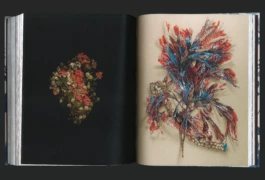 Studio Bonne Feuille
