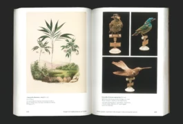 Studio Bonne Feuille