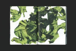 Studio Bonne Feuille