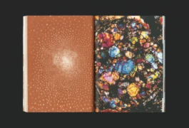 Studio Bonne Feuille